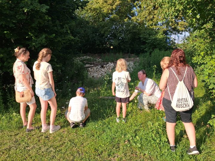 Wunderbare zwei Wild-Kräuterwanderungen mit Besuch unserer Zauneidechsenhabitate liegen hinter uns. Eltern und vor…